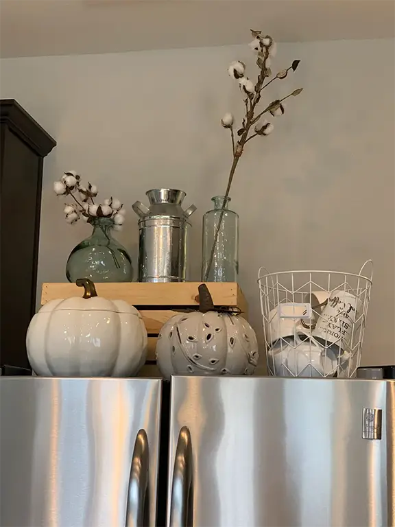 Top of Fridge Decor Ideas