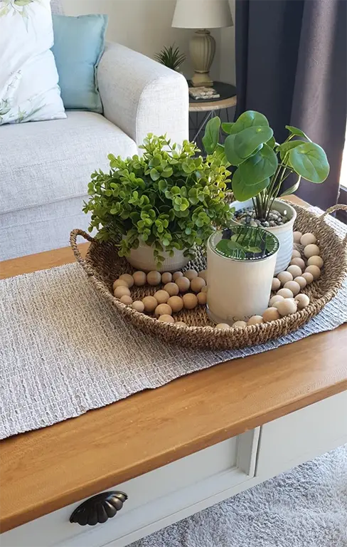 Decorate a Living Room with Plants