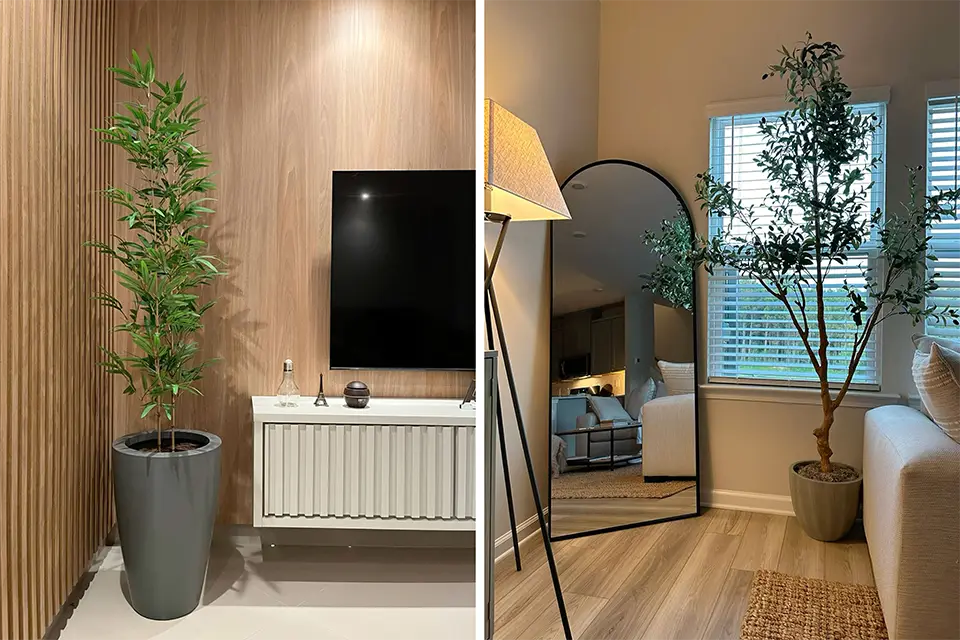 Decorate a Living Room with Plants