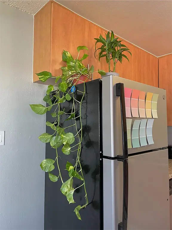 Top of Fridge Decor Ideas
