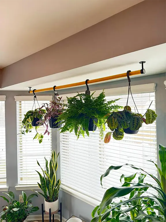 Decorate a Living Room with Plants