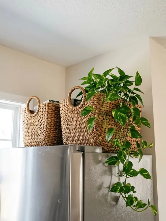 Top of Fridge Decor Ideas