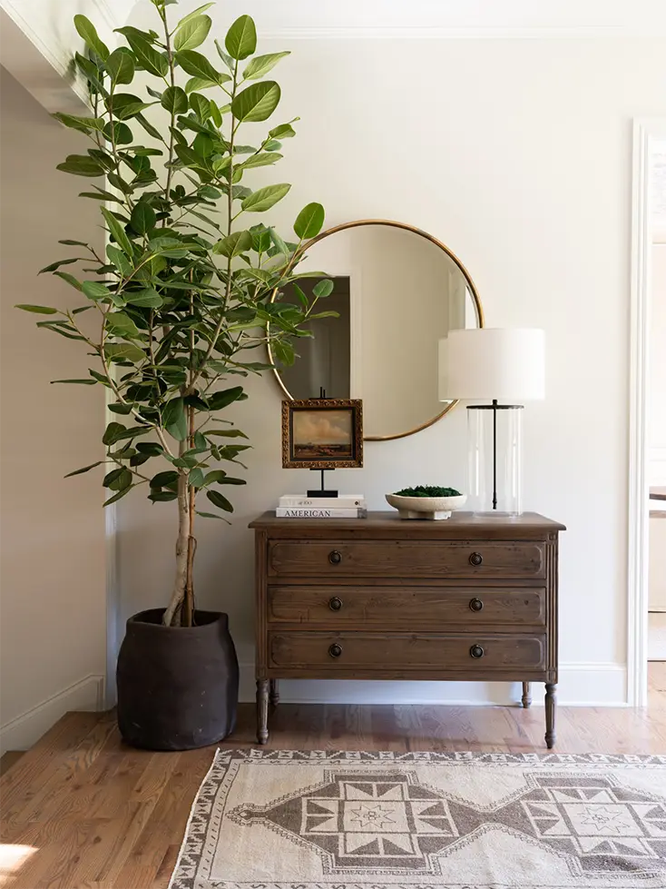 Modern Entryway Ideas
