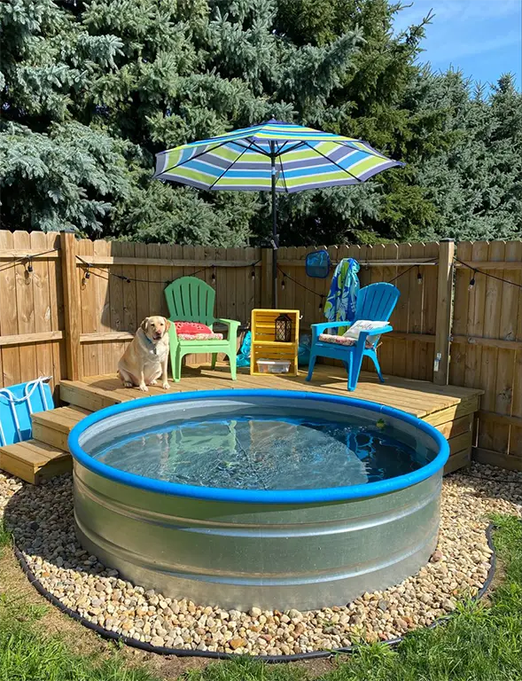Small Backyard Pool Ideas On A Budget