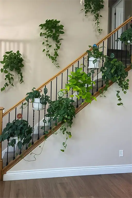 Staircase Wall Decor Ideas