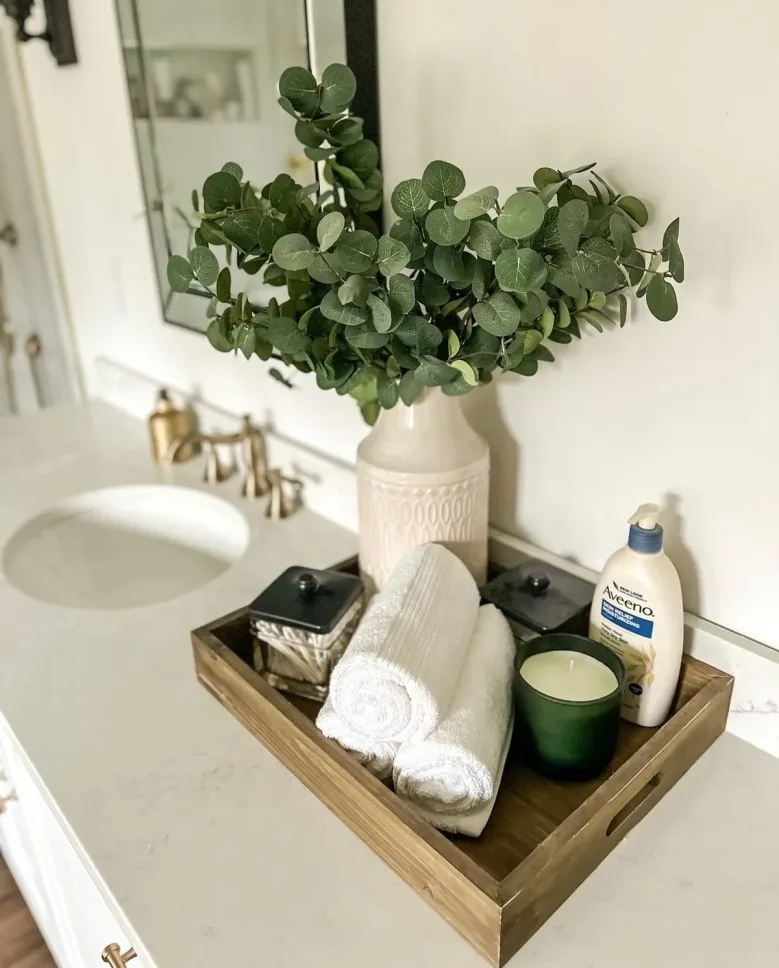 Bathroom Tray Decor Ideas