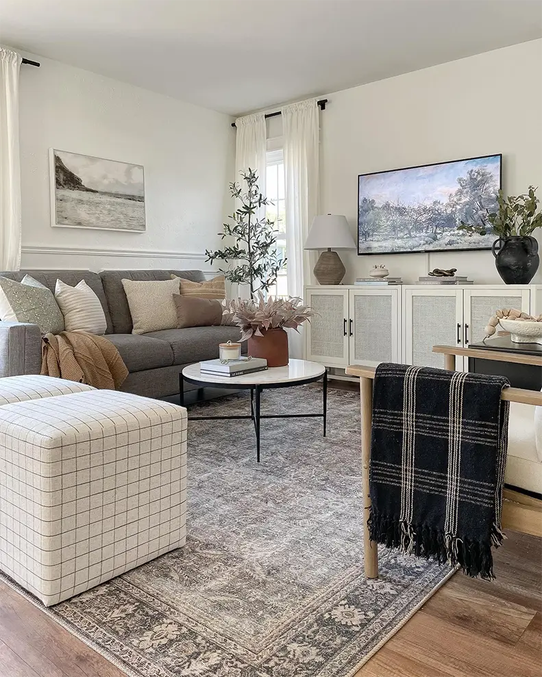 Grey Sofa Living Room Ideas