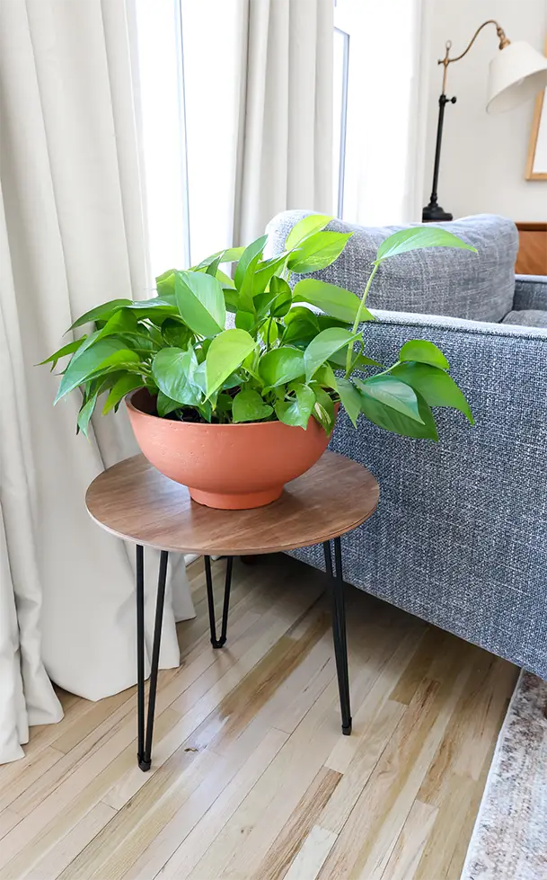 End Table Decor Ideas