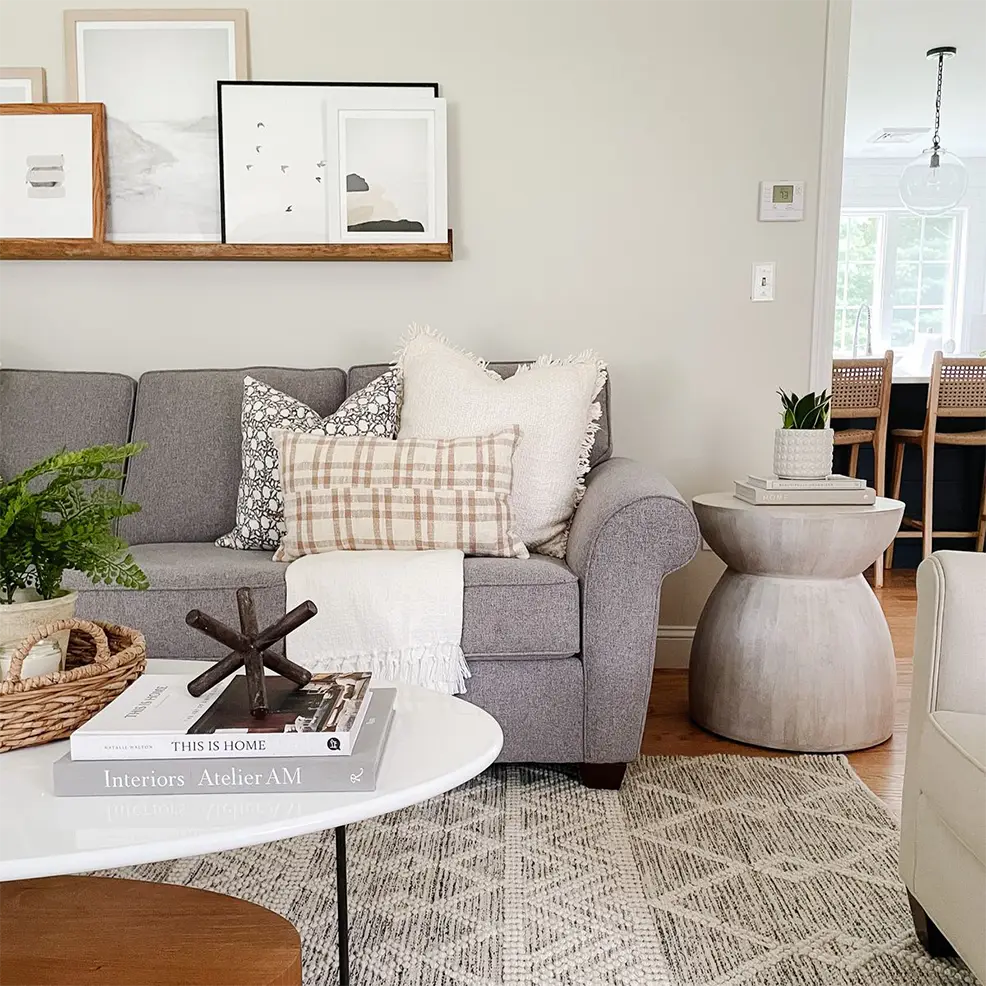Grey Sofa Living Room Ideas