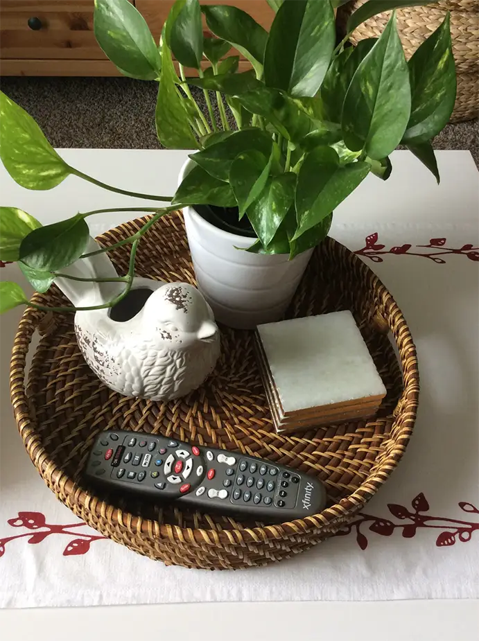 Coffee Table Centerpiece Ideas