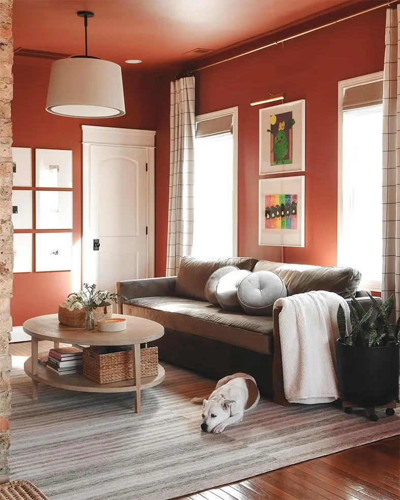 Living Room Paint Color Ideas