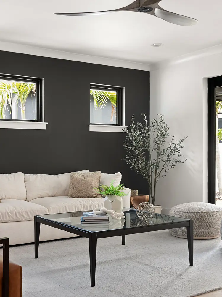 Living Room Paint Color Ideas