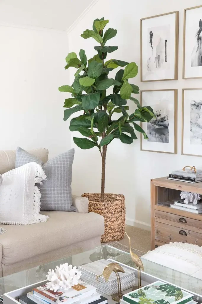 Living Room Corner Ideas